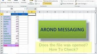 Using Excel 2010 - Share a Workbook with Other Users