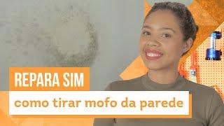 Como remover mofo da parede? Confira 5 dicas caseiras com Paloma Cipriano - CASA DE VERDADE