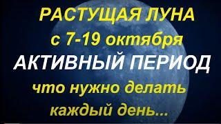 Растущая луна в октябре 2021. Период активности. Что нужно делать  каждый день.