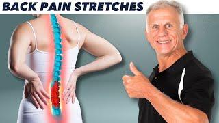 Absolute Best 10 Stretches For Back Pain & Perfect Posture!
