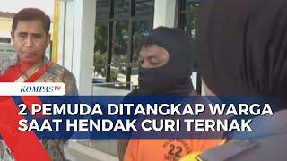 Kepergok Mencuri Ternak, 2 Pemuda Ditangkap Warga