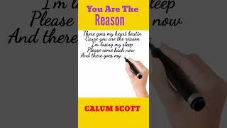 You are the reason || top music || Calum Scott #music #lyrics #shorts #shortfeed #shortsvideo