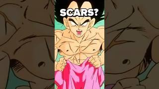 do you remember Vegeta’s SCARS?