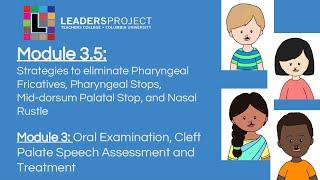 Module 3.5- Cleft Palate Speech and Feeding: Therapy for Cleft Palate Speech Errors