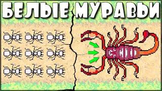 Новая армия БЕЛЫХ МУРАВЬЕВ! СОЗДАЛ САМЫХ СИЛЬНЫХ БОЙЦОВ В ИГРЕ! ▶ Pocket Ants: Симулятор Колонии