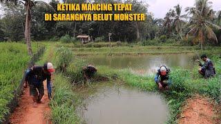 PESTA STRIKE SAMPE KEWALAHAN KETIKA MANCING BELUT TEPAT DISARANGNYA BELUT MONSTER