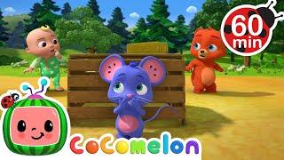 Peekaboo | CoComelon Animal Time | Animal Nursery Rhymes