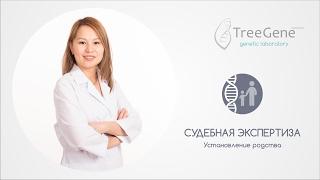 Что такое судебная ДНК Экспертиза?