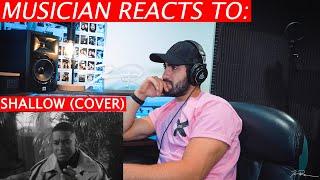 Pentatonix - Shallow - Musician's Reaction