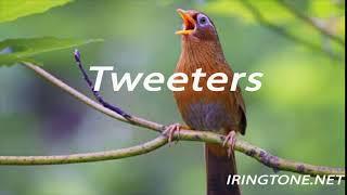 Tweeters Ringtone (Install Message Ringtone) For Mobile