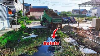 Start New PROJECT! Dump Truck 5Ton Transport Soil, Bulldozer D20P Pouring soil to Delete Pond