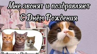 Рил: Мой День Рождения . Футажи в моём телеграм канале. Мемы с котами. Смешные котики.