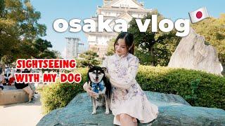 Last Days Sightseeing in Osaka  Seeing my family, back to Tokyo  | Japan Travel Vlog