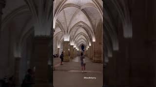 One day in Paris ️🪞#catacombsofparis #saintchapelle #paris #museum #gallery #art