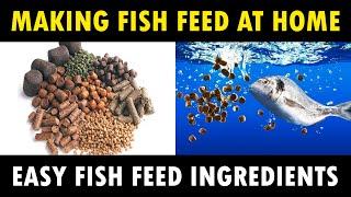 How To Make Fish Feed At Home | Homemade Floating Fish Feed | Fish feed Ingredients