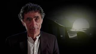 Dr Gabor Maté - Psychedelics - The Buddha, Donald Trump and Childhood Trauma