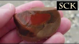 Rock Hounding & Fossil Hunting Higbee Beach in Cape May New Jersey