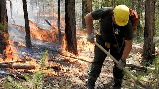 Siberia heat wave likely caused by climate change, study suggests