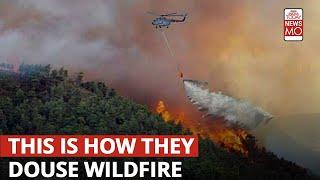 What Is A Bambi Bucket, Being Used By An IAF Helicopter To Fight Nainital Forest Fires?