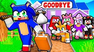 Sonic Says GOODBYE Forever In Minecraft...