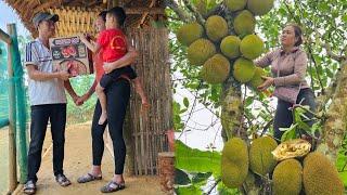 Selling Jackfruit And Working As A Laborer: Trying To Make A Living - Chau Thi Dac