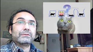 La Paradoja del Gato de Schrödinger ¡RESUELTA!