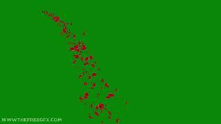 Rose petals falling from side green screen video