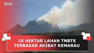 10 HEKTAR LAHAN TNBTS TERBAKAR AKIBAT KEMARAU