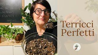 Terriccio: il mix perfetto | cura delle piante |substrato