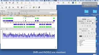 Reference Assembly with MacVector and Assembler