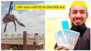 একটি উটের দাম কত লাখ টাকা চলুন দেখে আসি।#viral #video #Saudia Arab