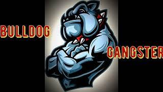 Bulldog Gangster