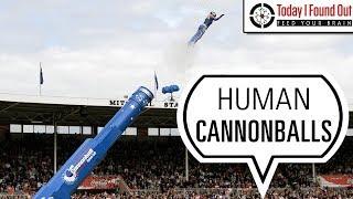 Why Don't Human Cannonballs Die When Shot Out of the Cannon?