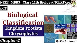 Kingdom Protista:Chrysophytes-Biological Classification | Class 11 Biology | NEET/MBBS/CSIR Net