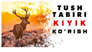 Tushda Kiyik Ko'rish Tabiri