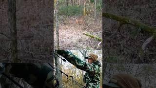 Levi Remole was ready with the Prime Archery when a nice buck pushed a doe out of the timber!