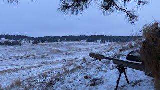 Hunting Coyotes In the South Dakota Snow.