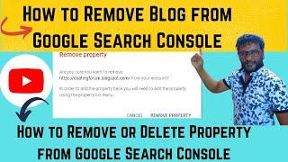 How to Remove Blog from Google Search Console| How to Remove or Delete Property from Search Console