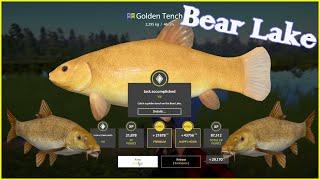 Gold Tench n1 ...  & Common Barbel | rf4 spot | Russian Fishing 4