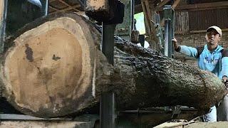 Turned into Planks- The best skill to split teak lumber using bigest homemade sawmill