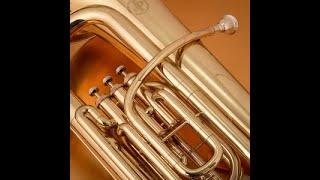 Tuba/Euphonium Ensemble