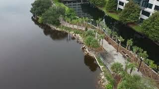 New Trees On The Northbank