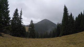 Carpathian. Mountain Homyak. Guests wind and fog