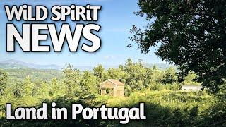 Abschluss in Deutschland, Neubeginn in Portugal | Wild Spirit Land Vlog Sommer 24