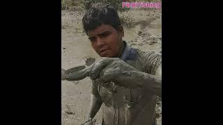 Pinki fishing special। #pinki_fishing। #shortvideo । #viralshorts