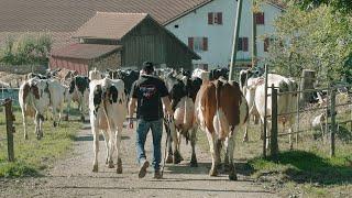 Swissherdbook Holstein Rassenpromo-Clip: Roger Frossard, Les Pommerats/JU