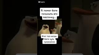 #thepenguinsofmadagascar #кавасаки #каго #крико #шкипер #shortvideo #shorts #subscribe #мем #мемы