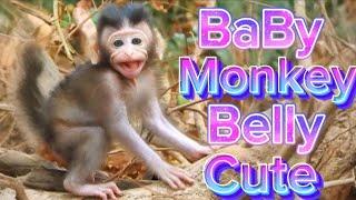 monkey baby cute cute ###viral video shirt funny video