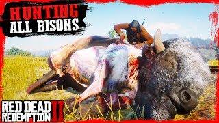 RDR2 Hunting and skinning ALL BISON spicies ( Legendary White and Tatanka Bison ,American Bison)