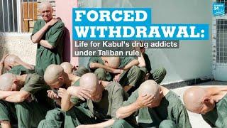 Forced withdrawal: Life for Kabul's drug addicts under Taliban rule • FRANCE 24 English